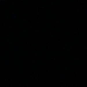 Meet your Posher, Janiyah